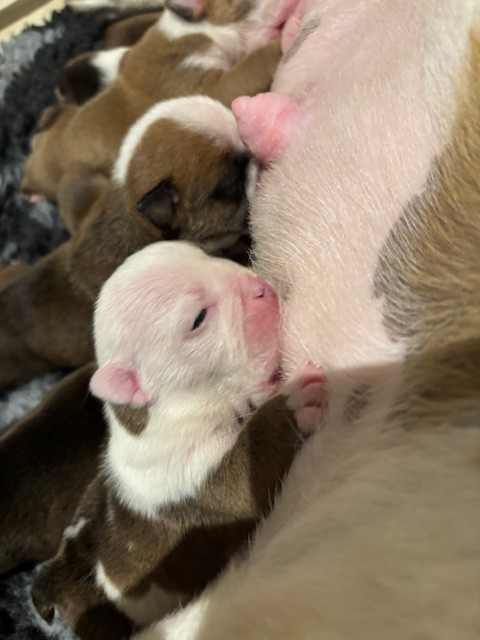 Les bébés grandissent
